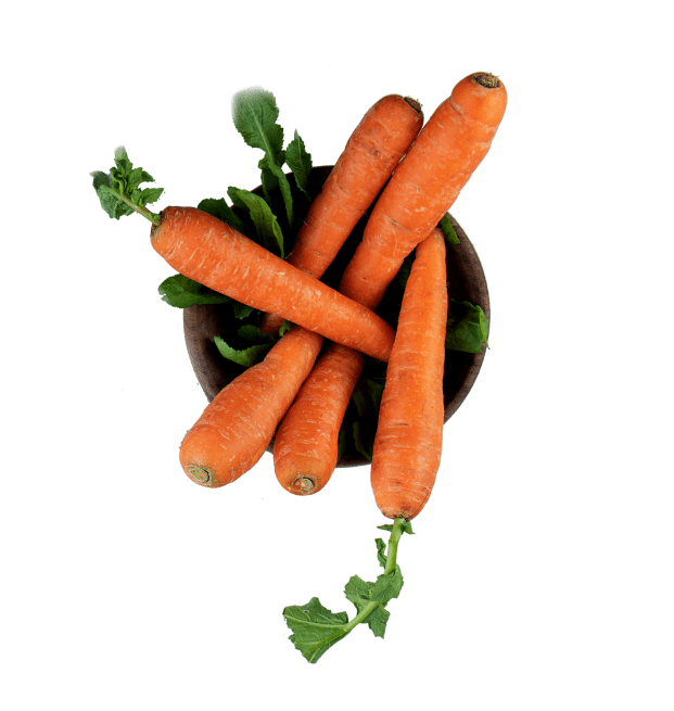 2e71aa00 Carrot 2