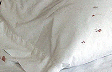 screenshot 2026 04 01 235951